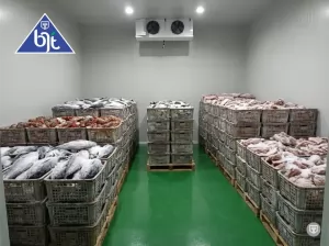 Cold Storage Aplikasi Chiller dan Freezer Berkualitas dari BJT INDONESIA